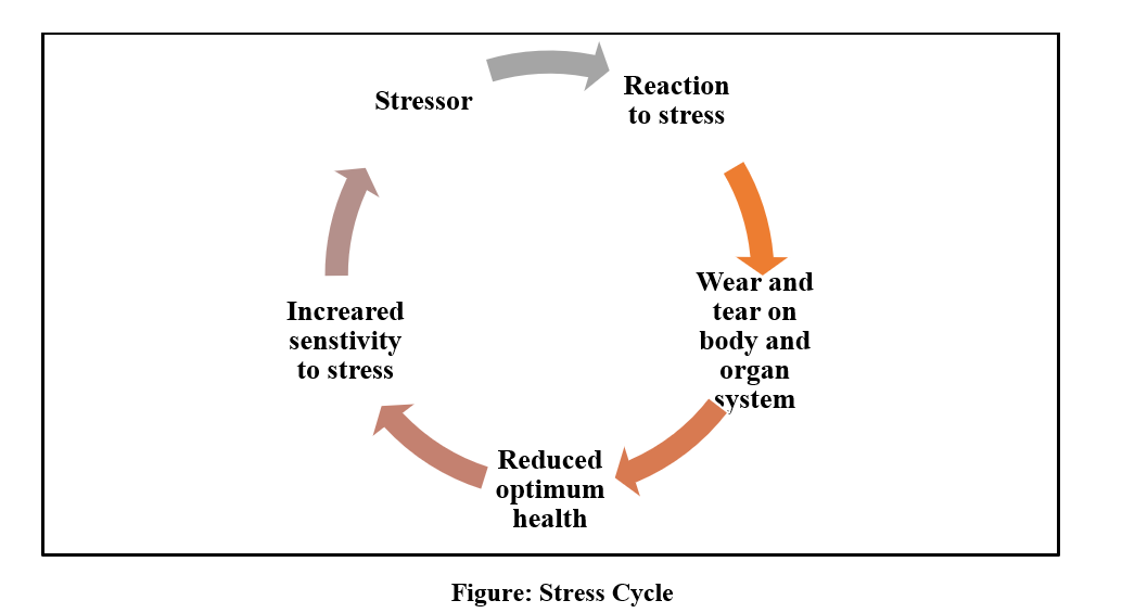 “Implication of Stress in the Health Sector”